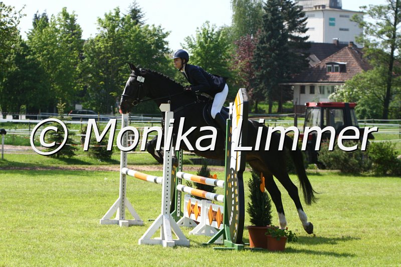 005M4563_Abraxas_Stil A.JPG